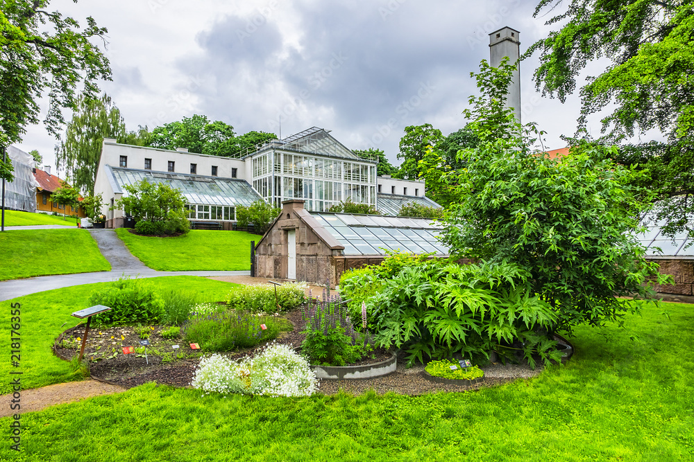 Oslo Botanical Garden