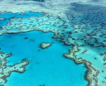 Osprey Reef Dive Sites