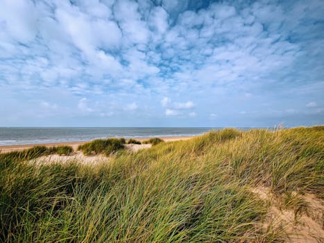 Ostend Beach