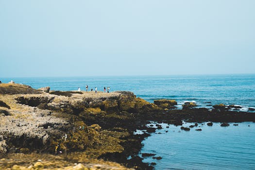 Oualidia Lagoon