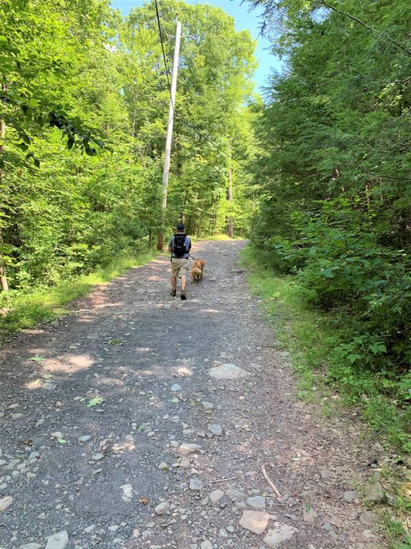 Overlook Mountain Trail