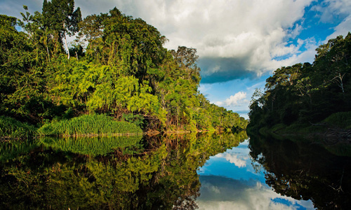 Pacaya Samiria National Reserve