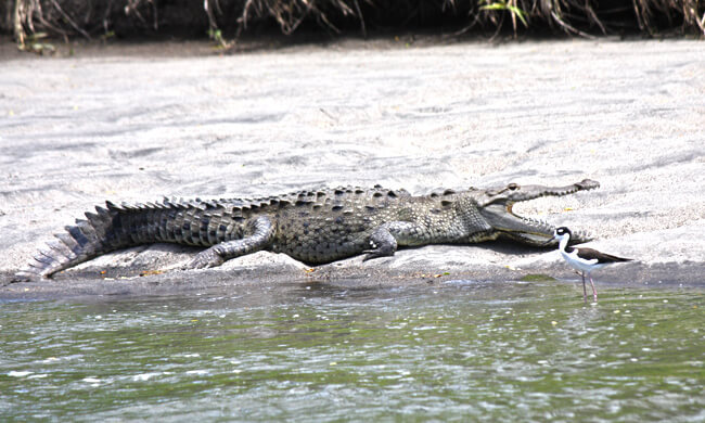 Palo Verde National Park