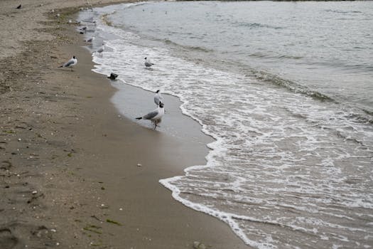 Pamucak Beach