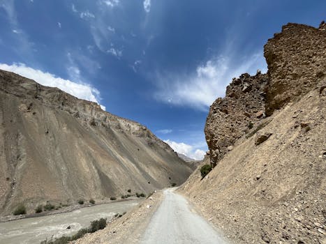 Pangong Tso Marshes