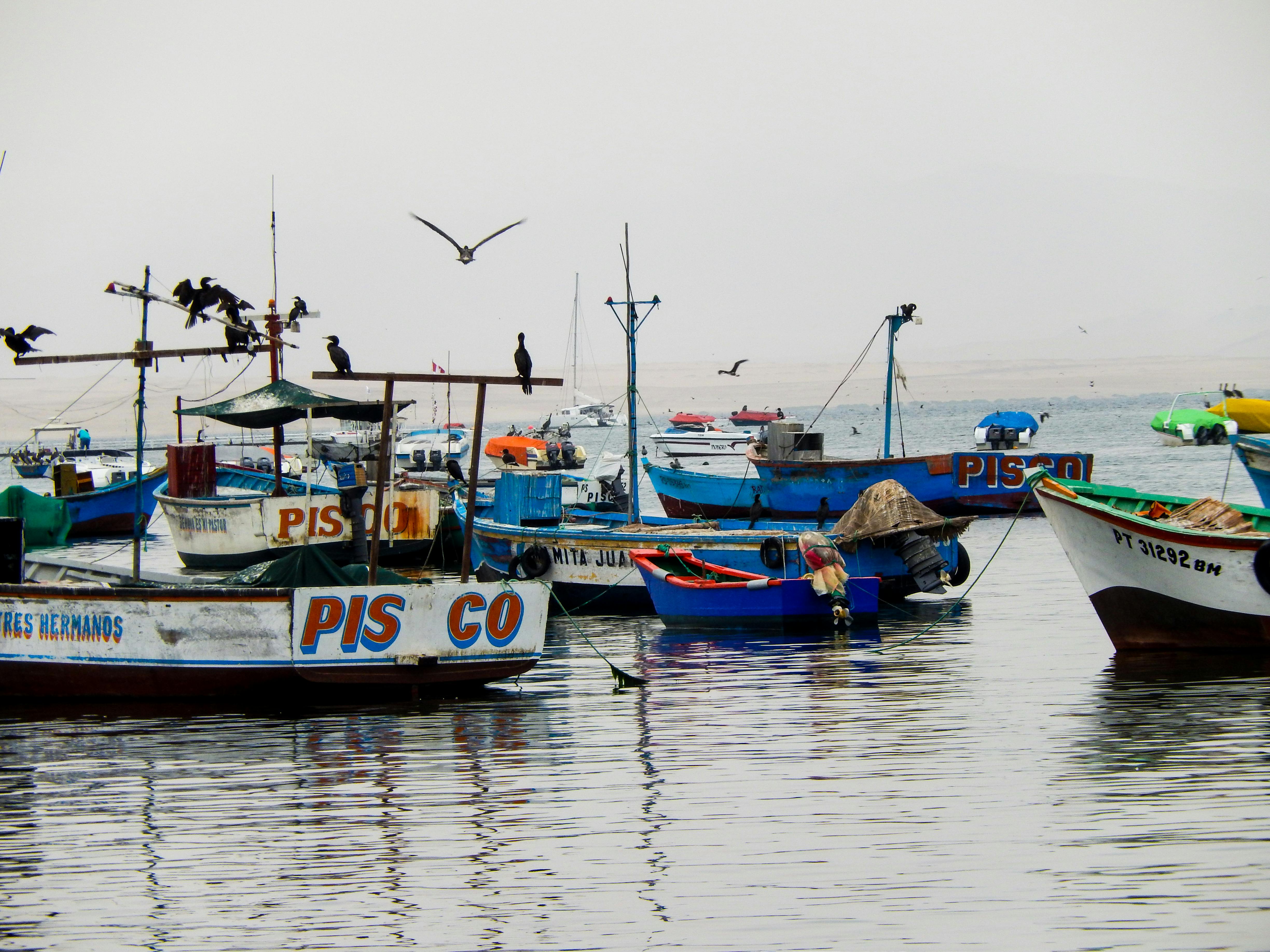 Paracas Artisan Market