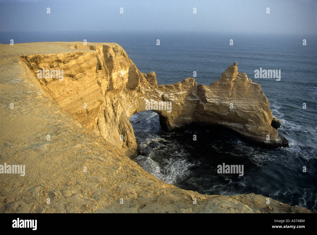 Paracas National Reserve at Pisco, Peru