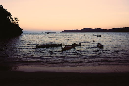 Paraty Fish Market