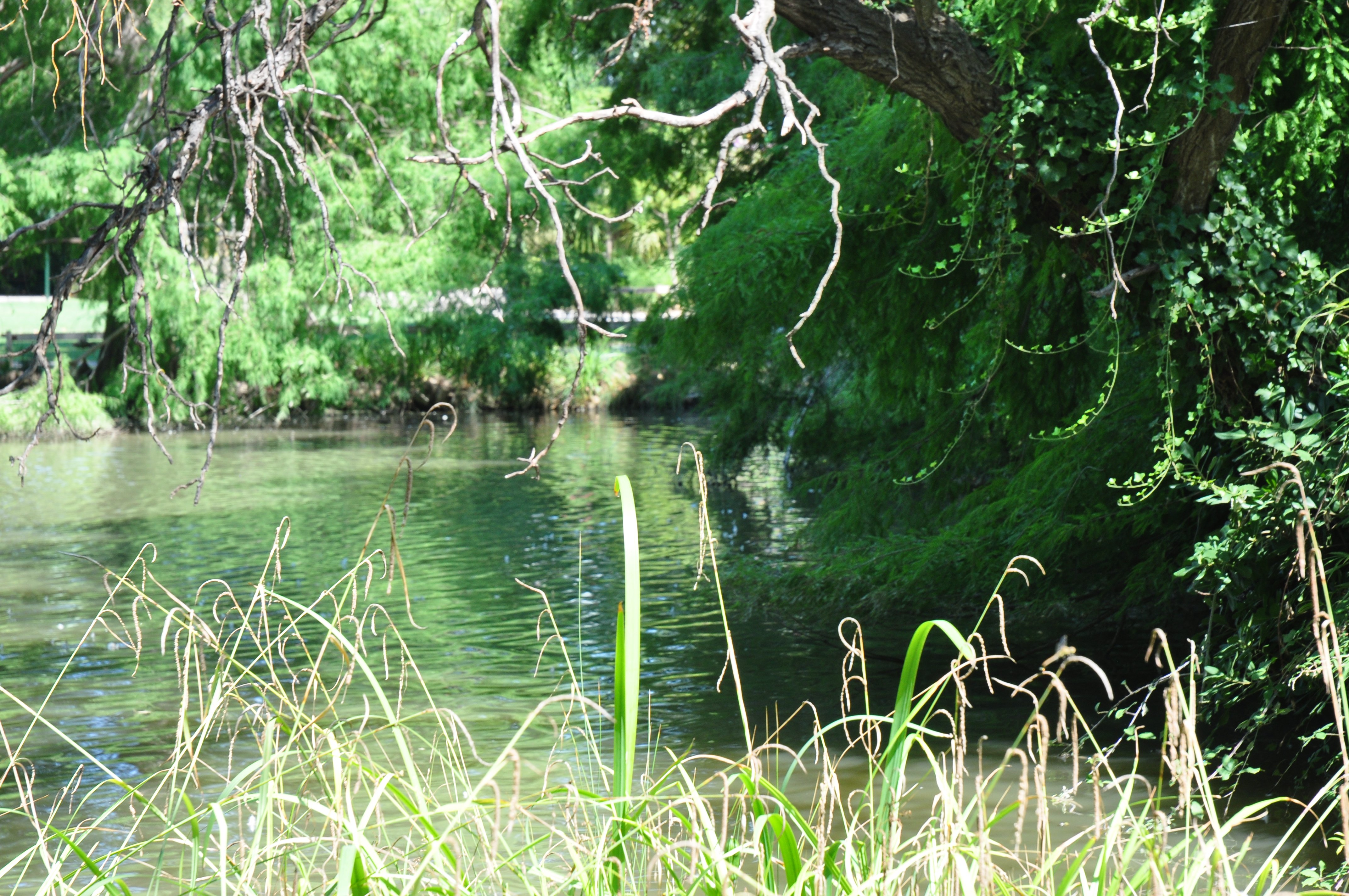 Parc Olbius Riquier