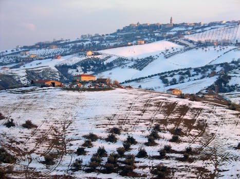 Parco Regionale Valle del Treja