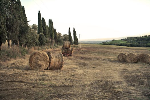 Parco delle Colline di Brescia