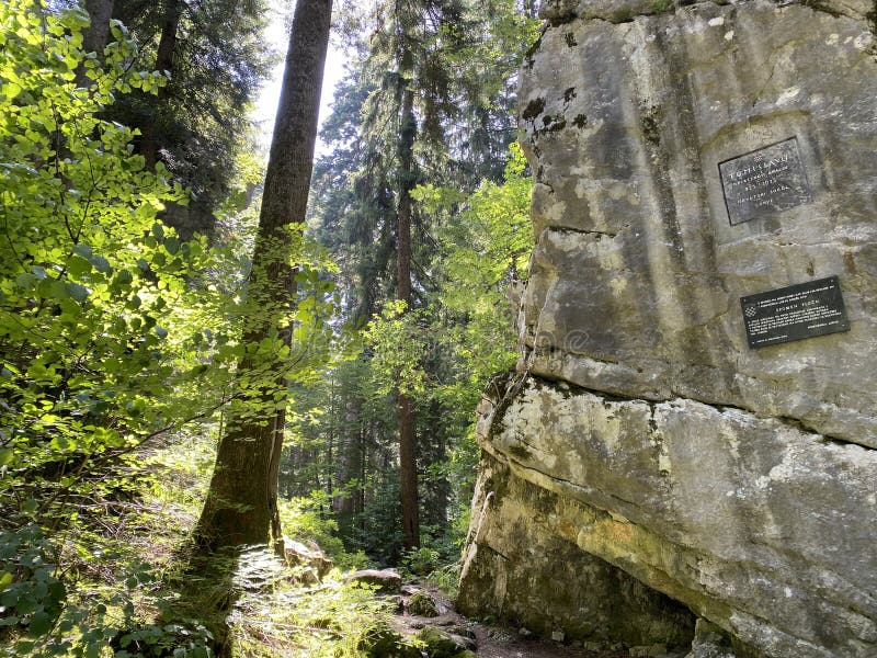 Park-forest Golubinjak