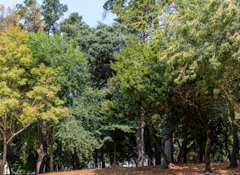 Parque Infantil de Vidigueira