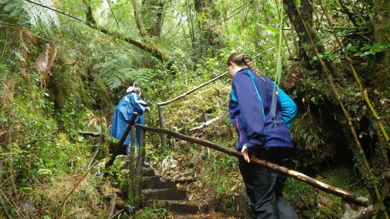 Parque Nacional Alerce Andino