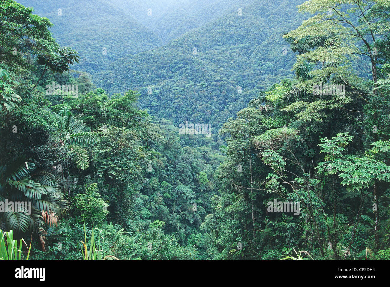 Parque Nacional Braulio Carrillo