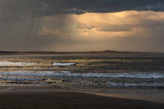 Parque Nacional Cabo Polonio