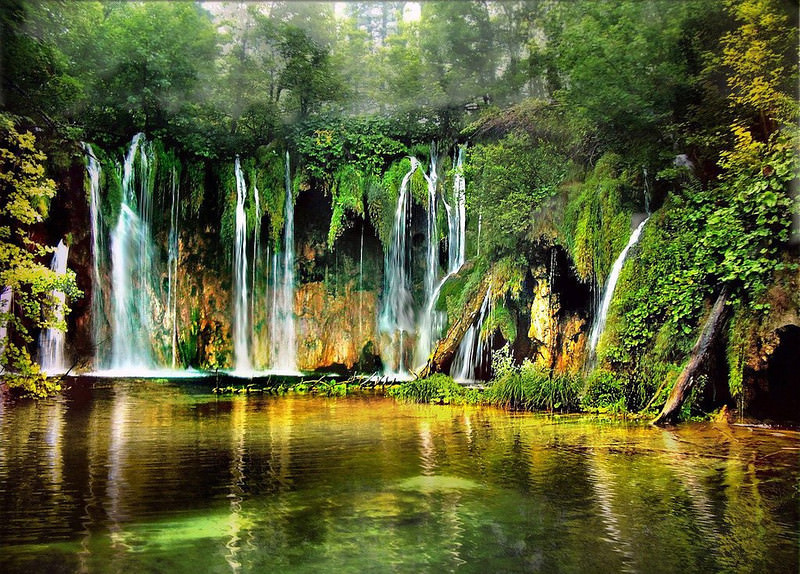 Parque Nacional Cusuco