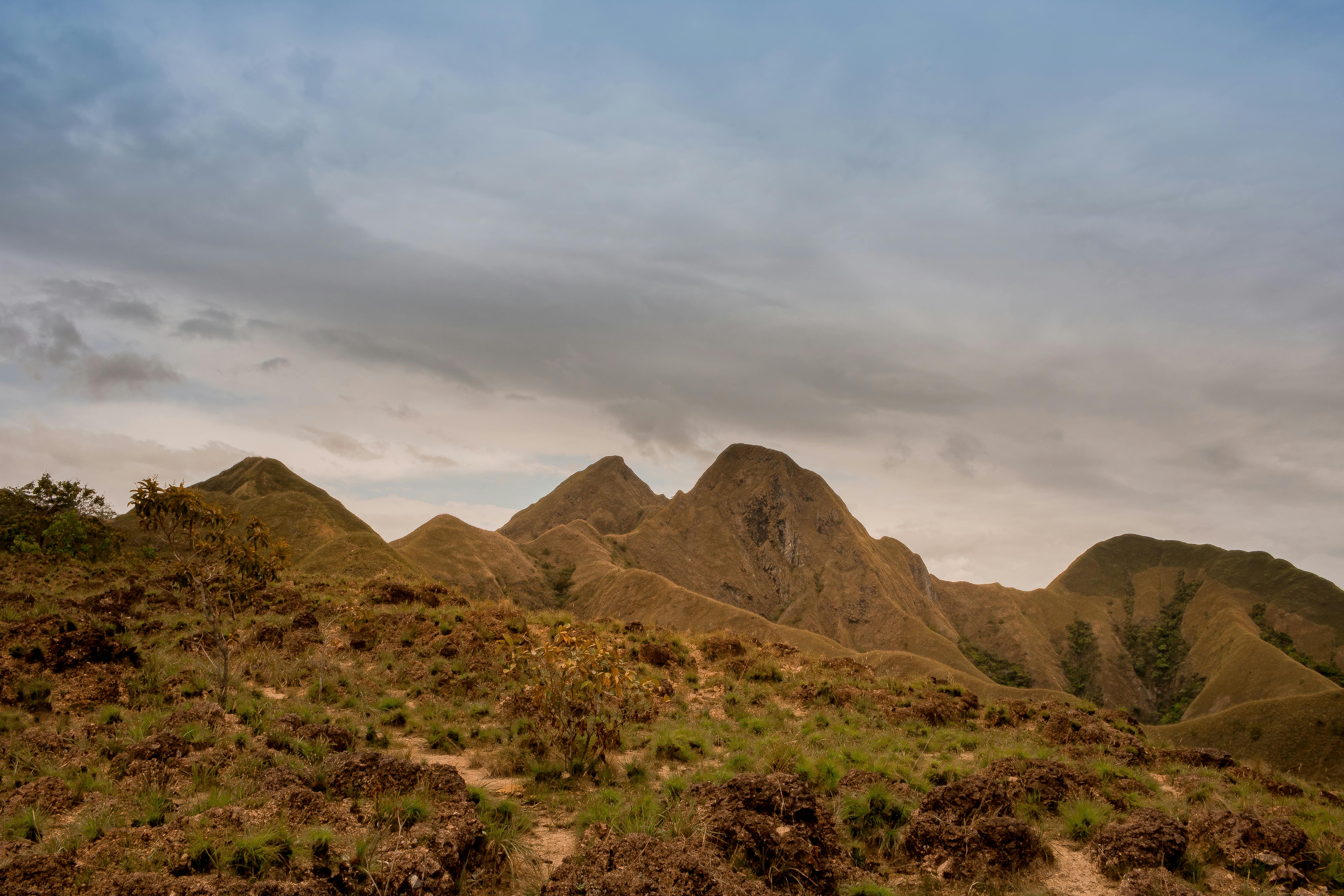 Parque Nacional San Lorenzo