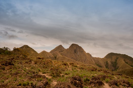 Parque Nacional Sierra Maestra