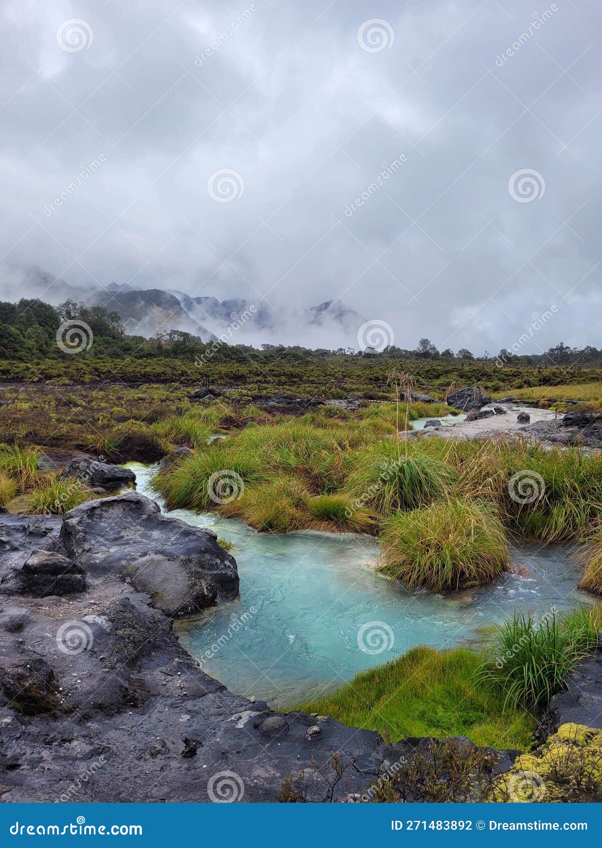 Parque Natural de Puracé