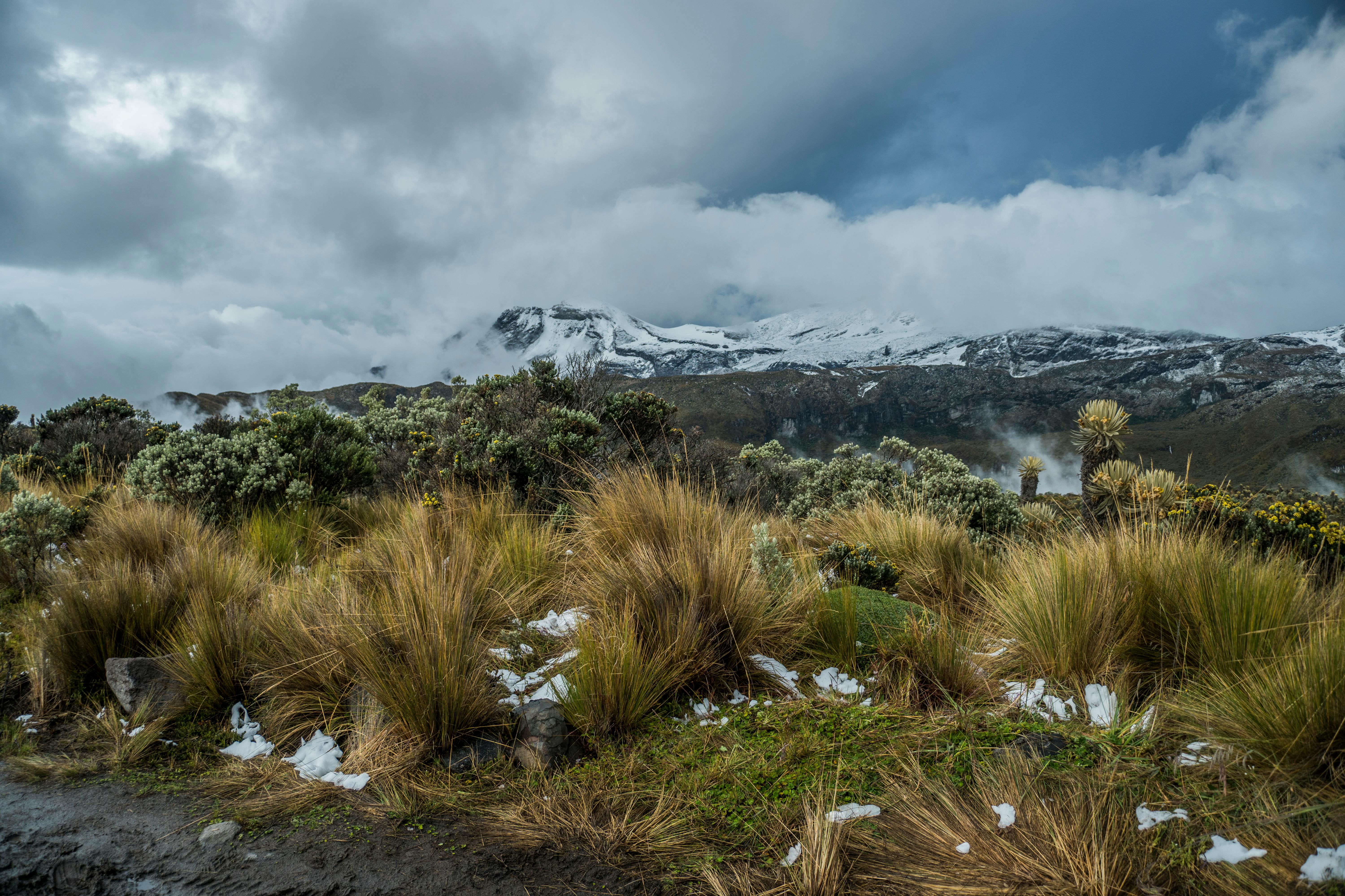 Parque Natural de Purace