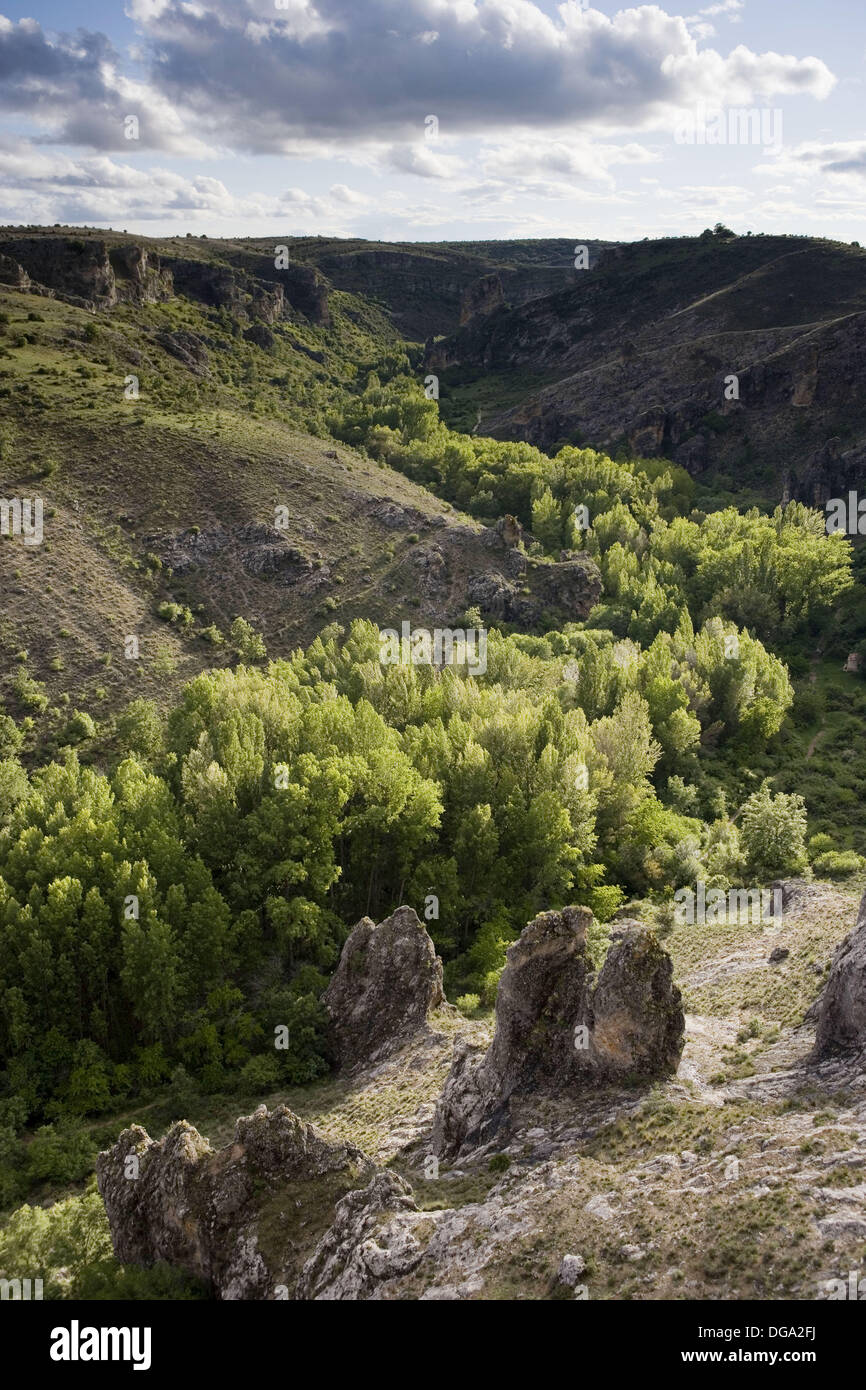 Parque Natural del Barranco del Río Dulce