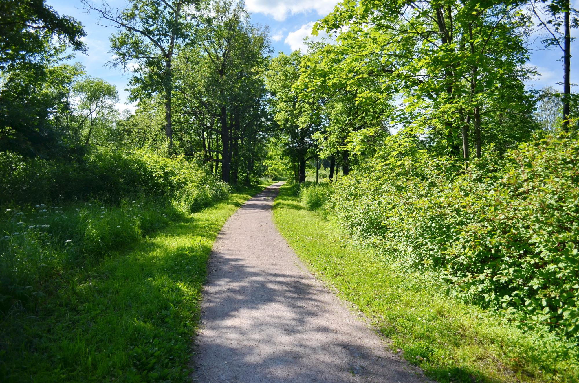 Pavlovsk Park