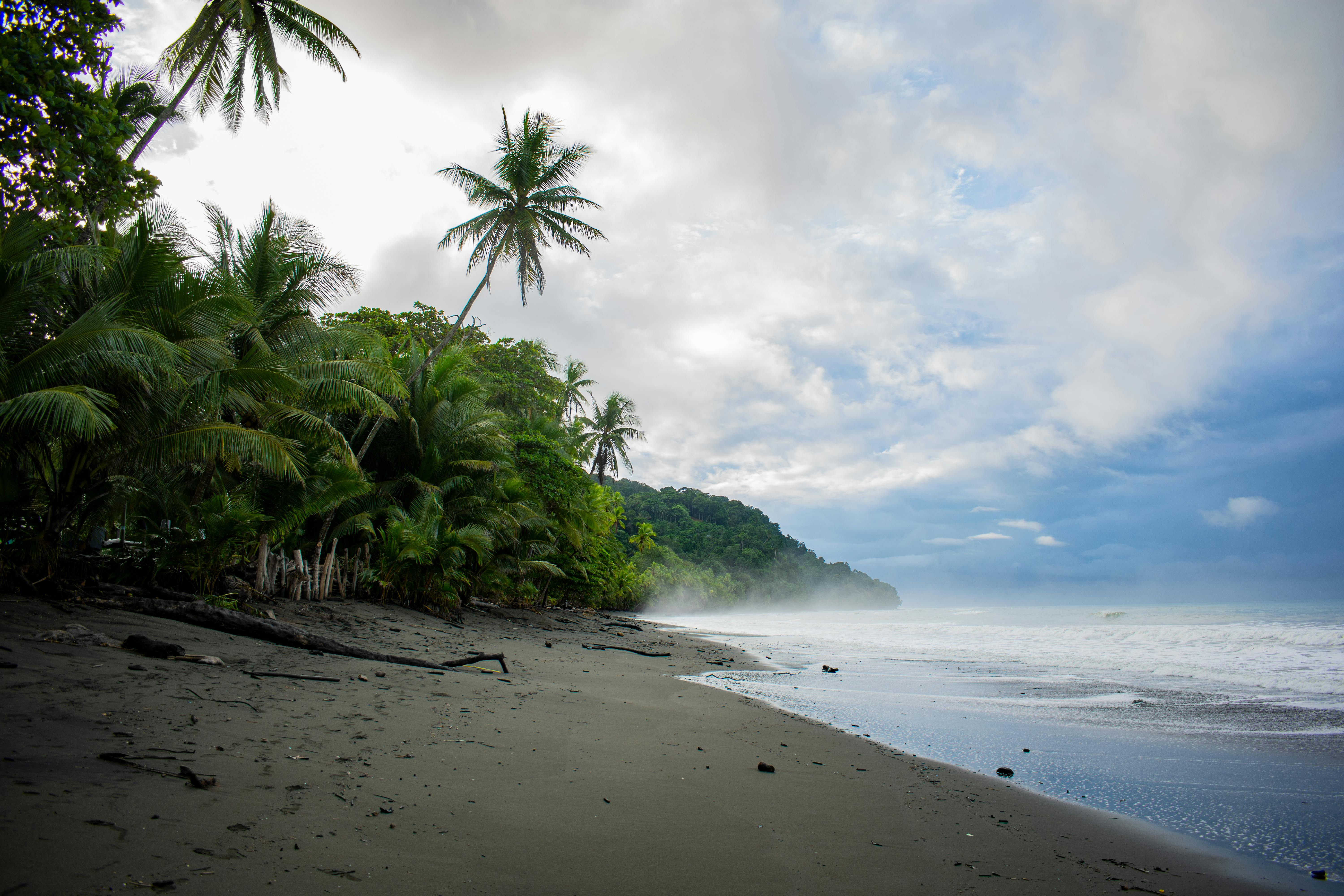 Pavones Beach