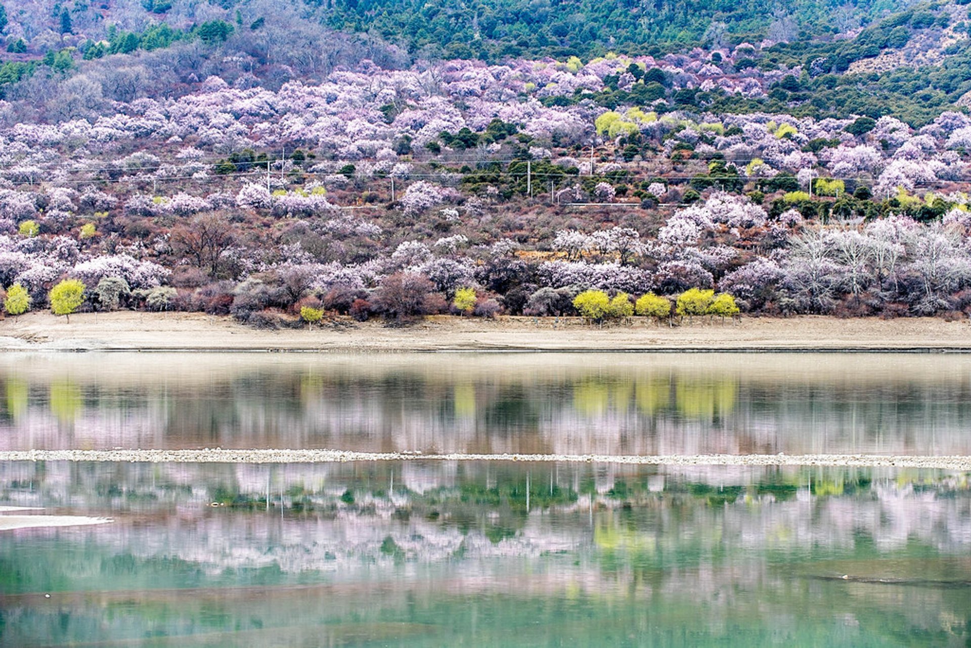 Peach Blossom Valley