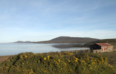 Pebble Island