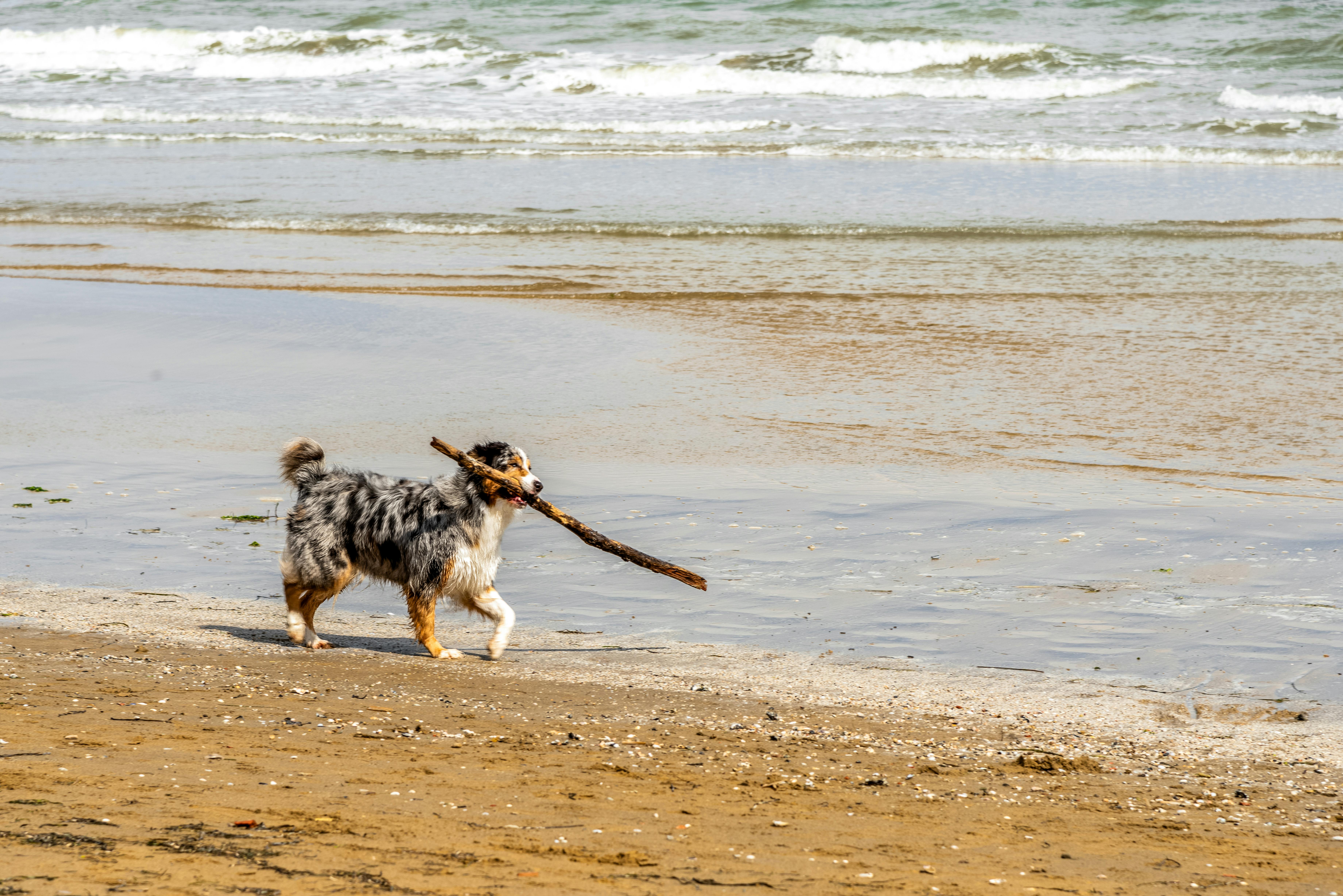 Pegli Beach