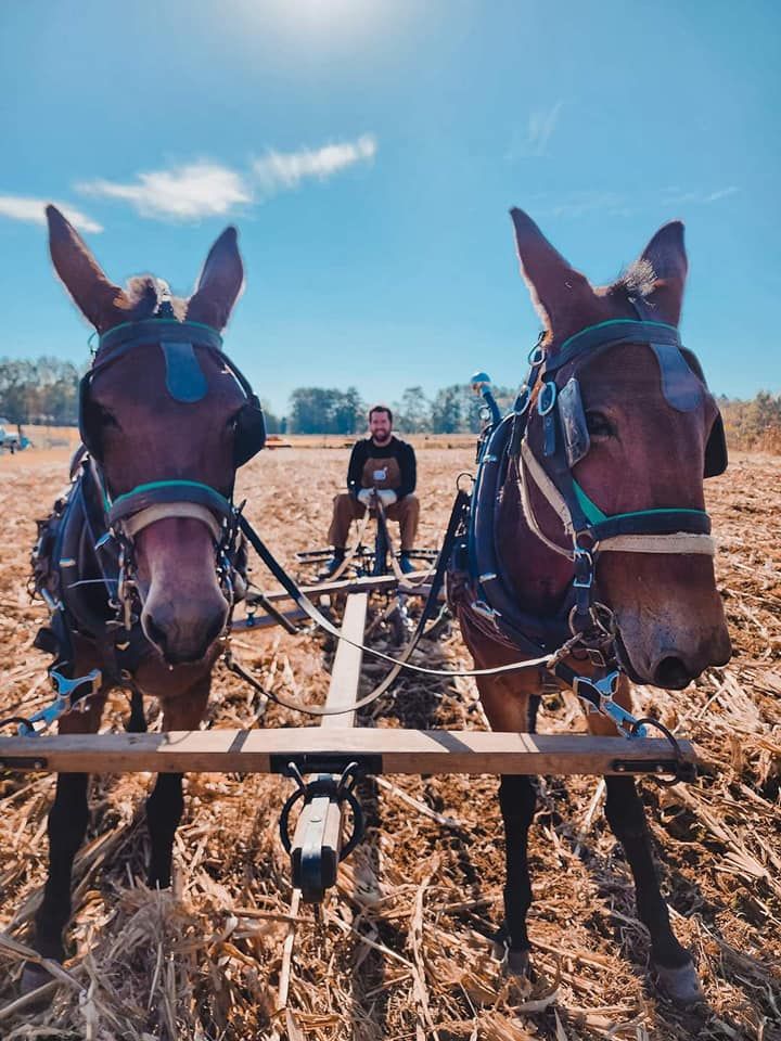 Peinhardt Living History Farm