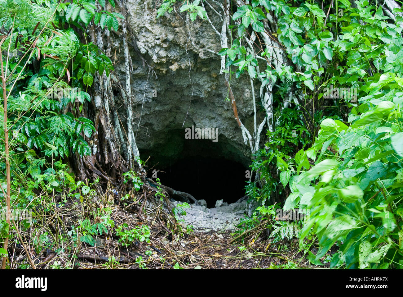 Peleliu Caves