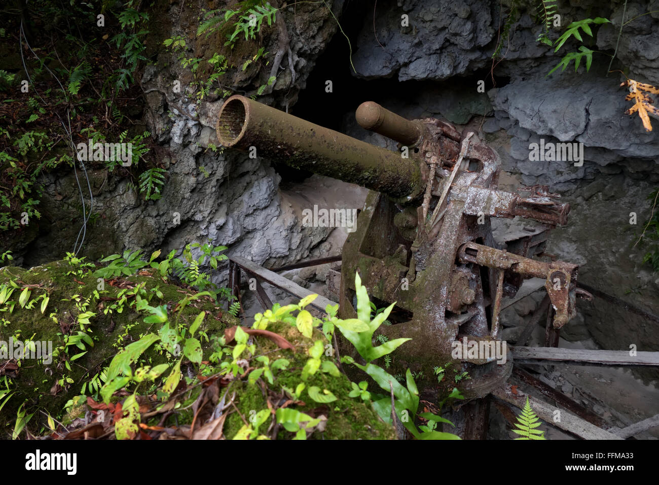 Peleliu Japanese Cannon