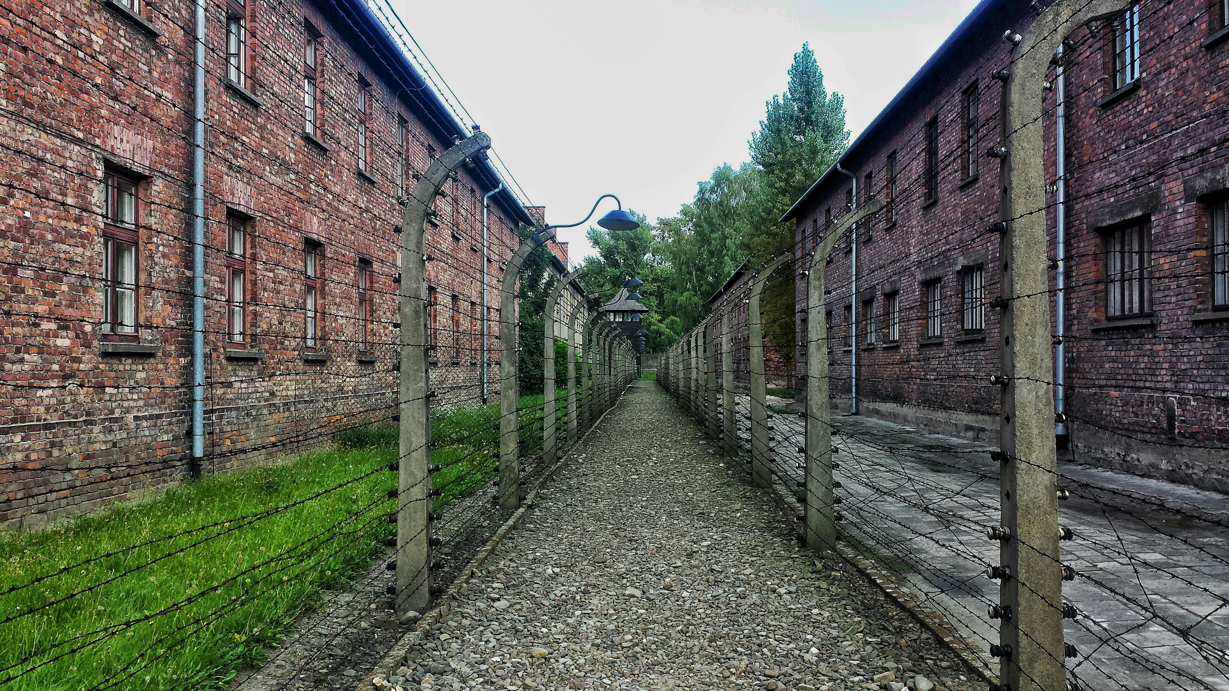 Peleliu War Memorial Museum