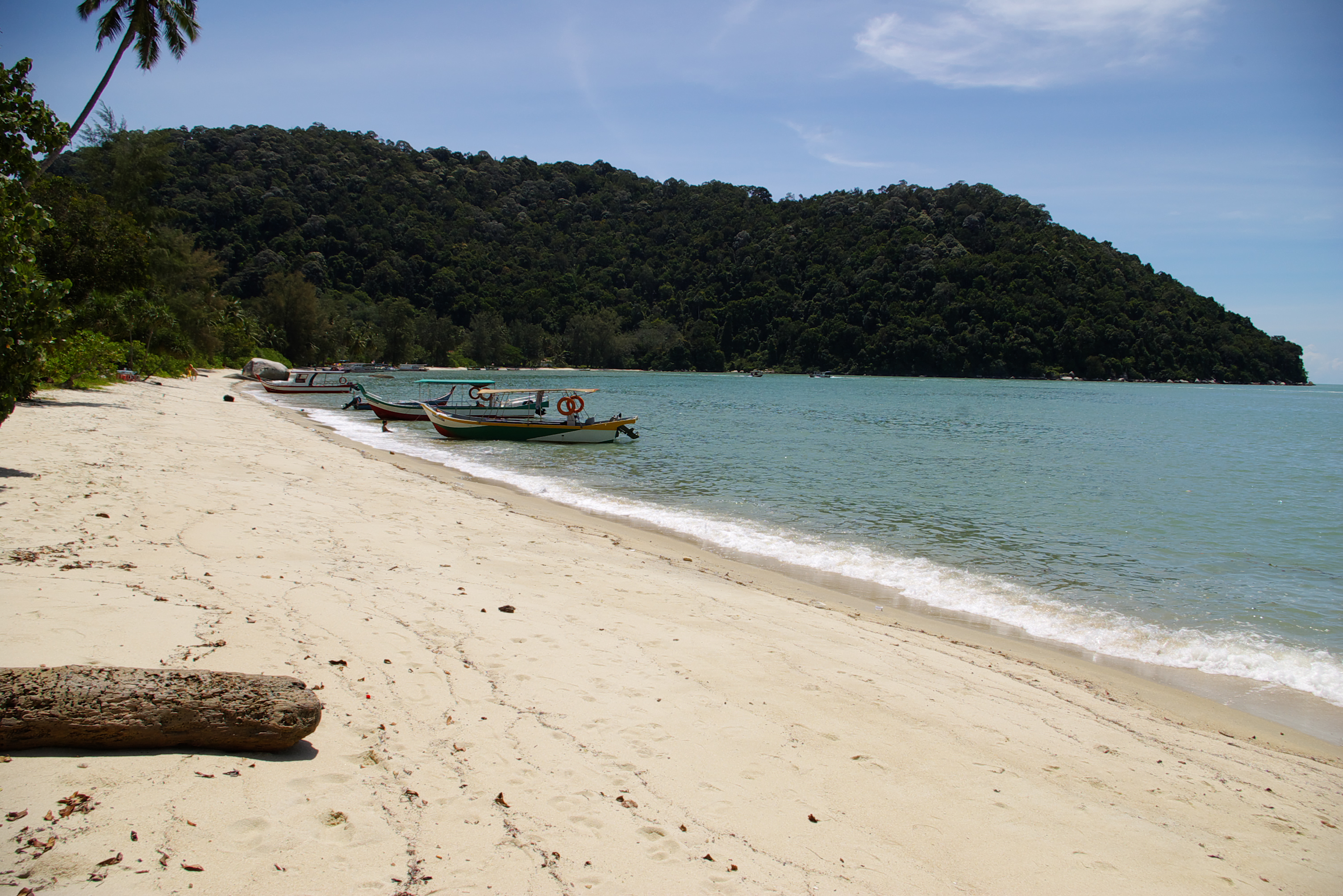 Penang National Park