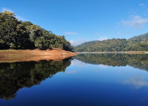 Periyar National Park