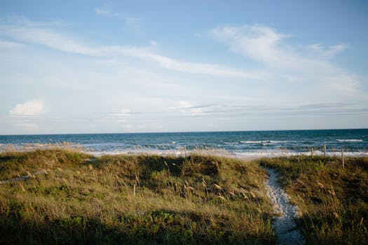 Petrified Dunes Trail