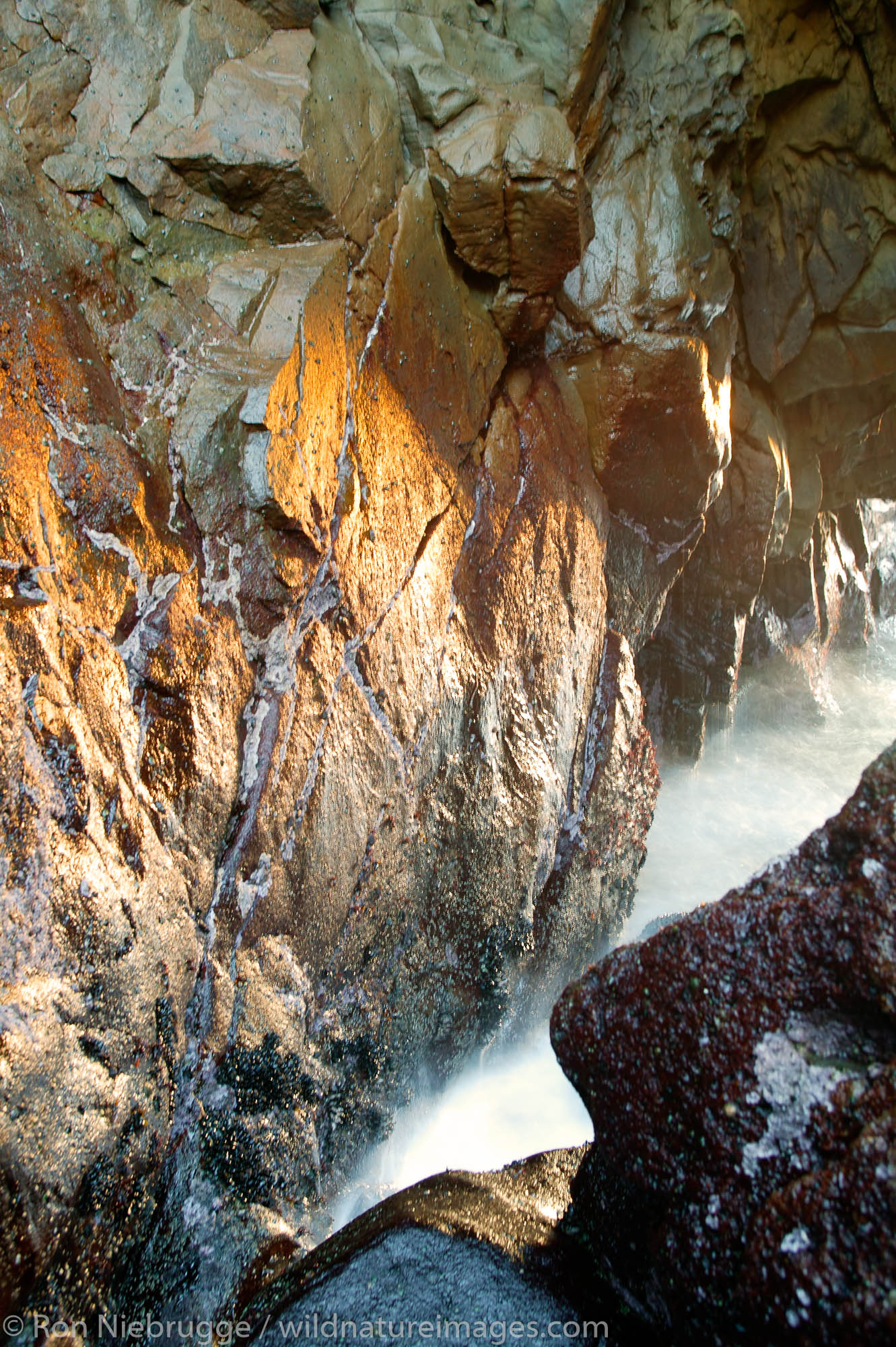 Pfeiffer Big Sur State Park