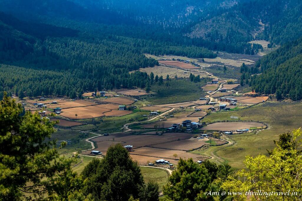 Phobjikha Valley