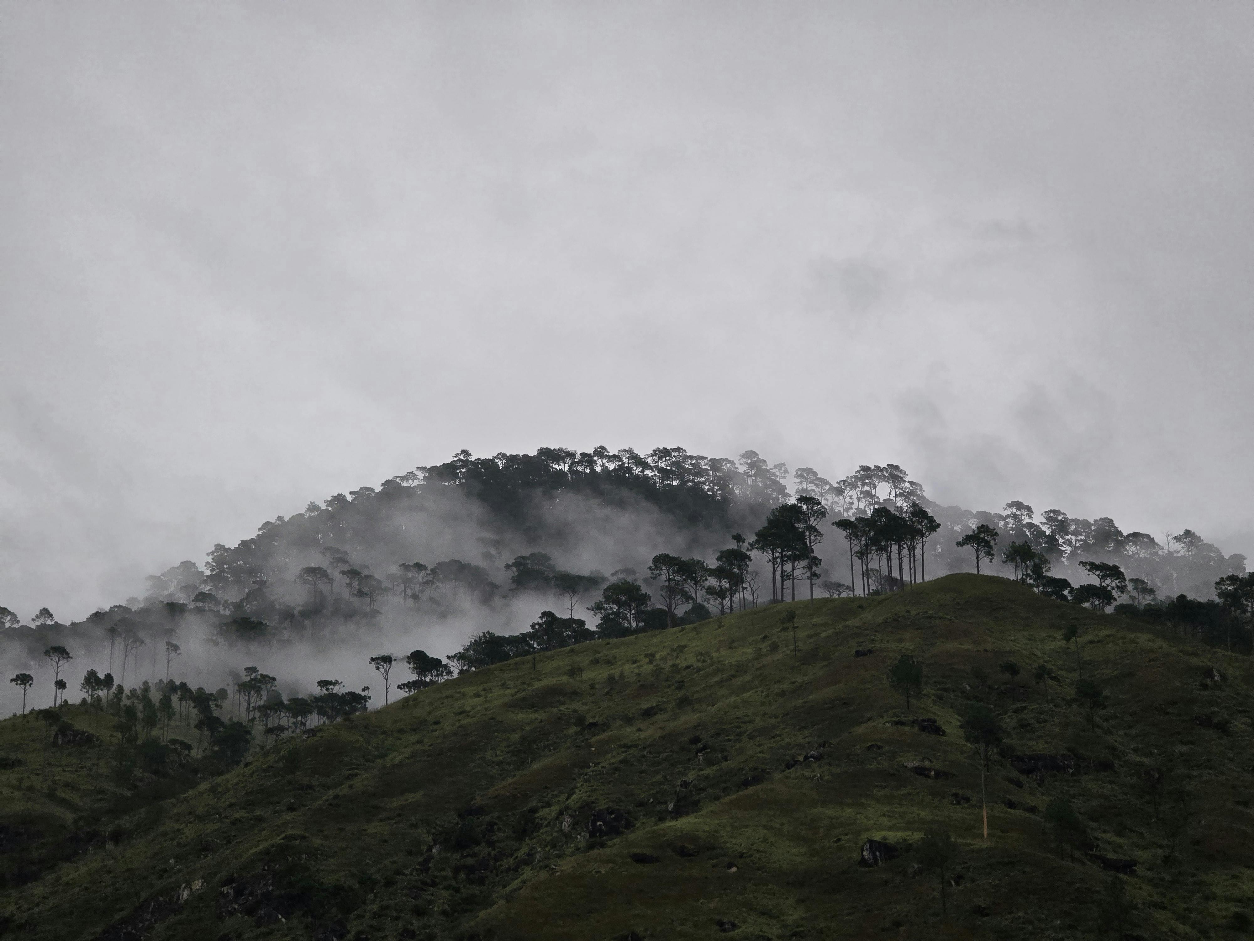 Phobjikha Valley