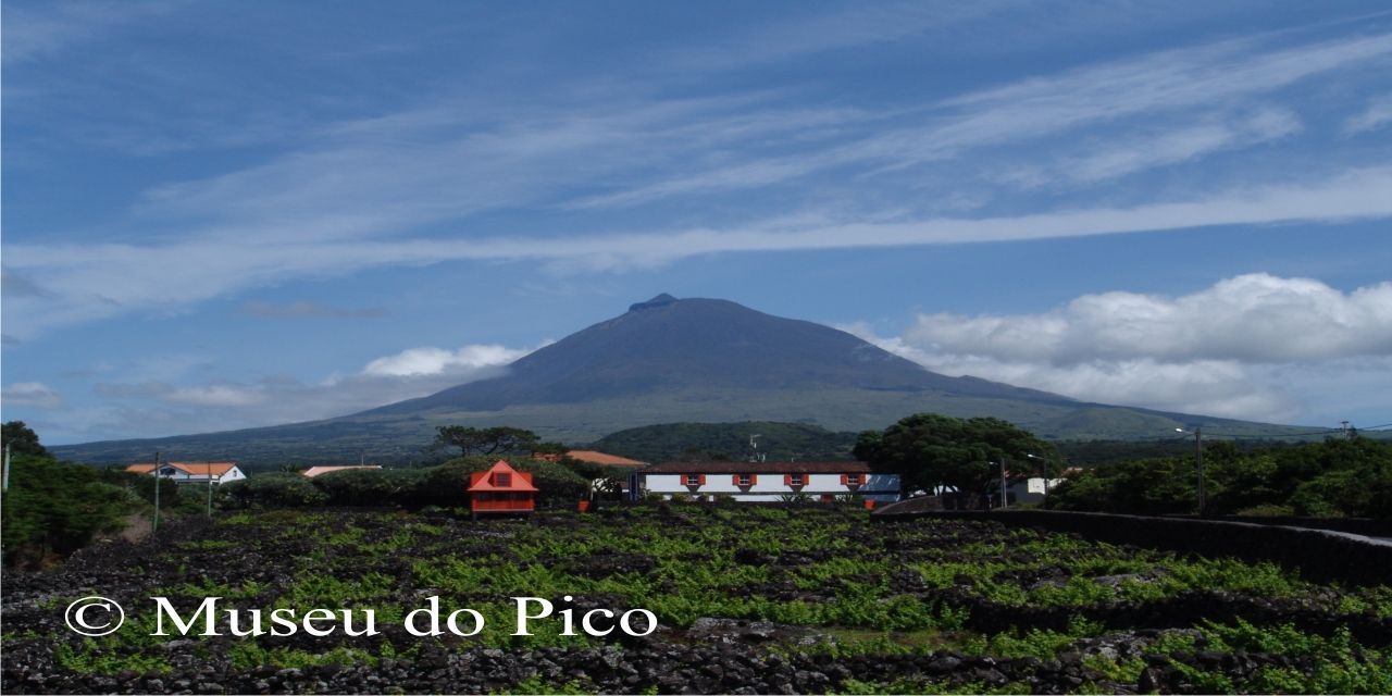 Pico Island Aquarium