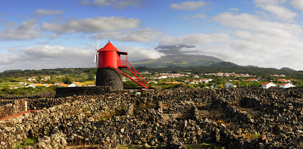 Pico Island Botanical Garden