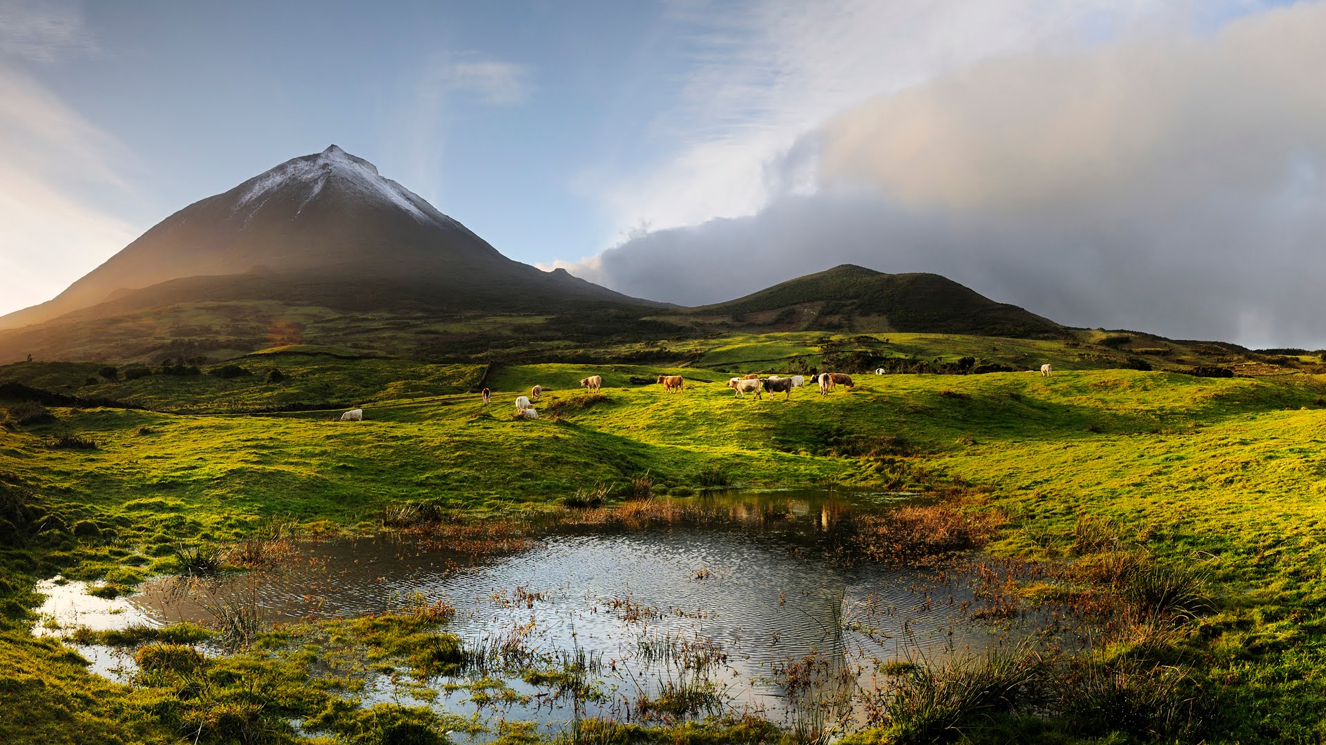 Pico Island Lighthouse