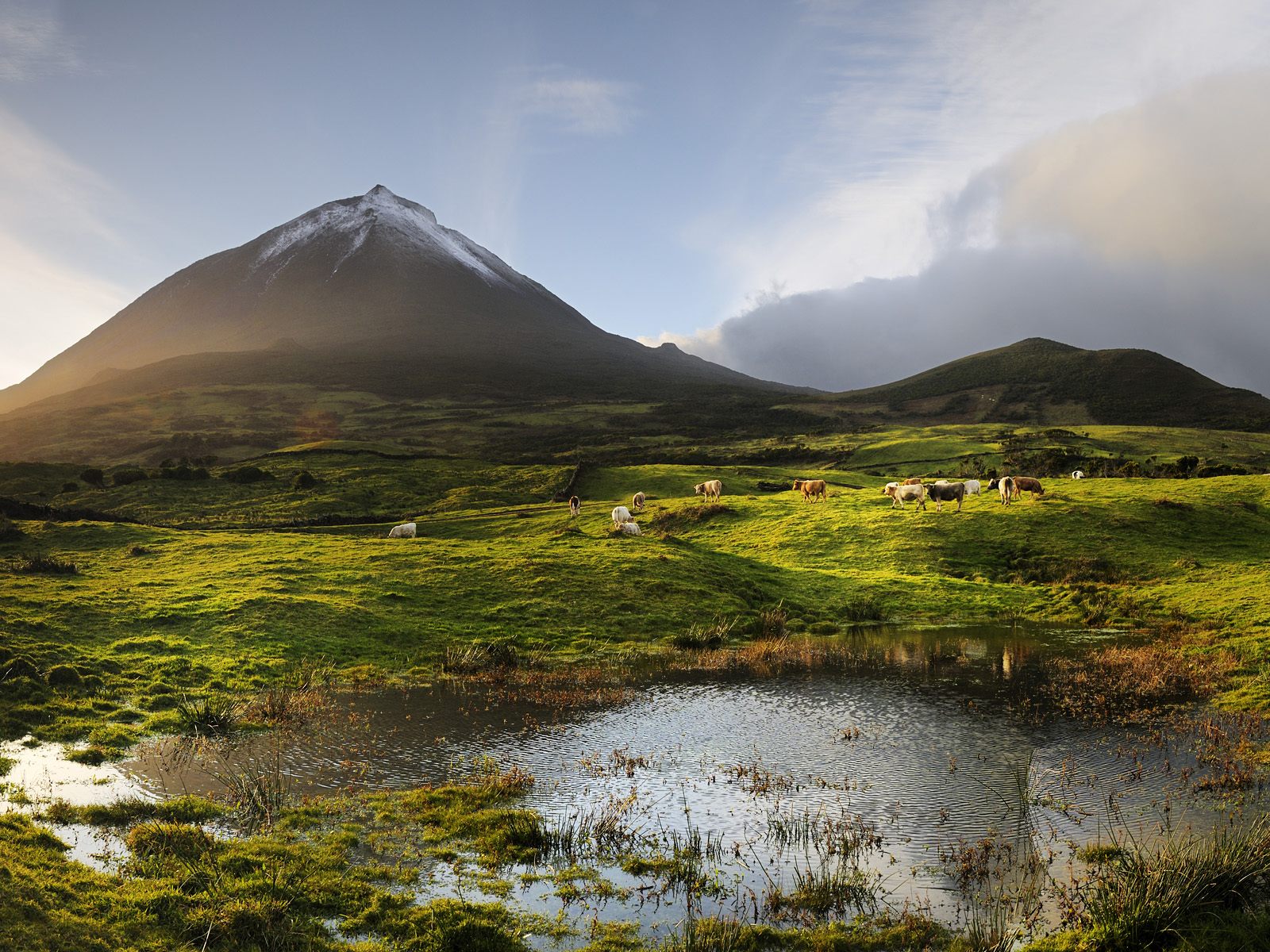 Pico Island Surfing Spots