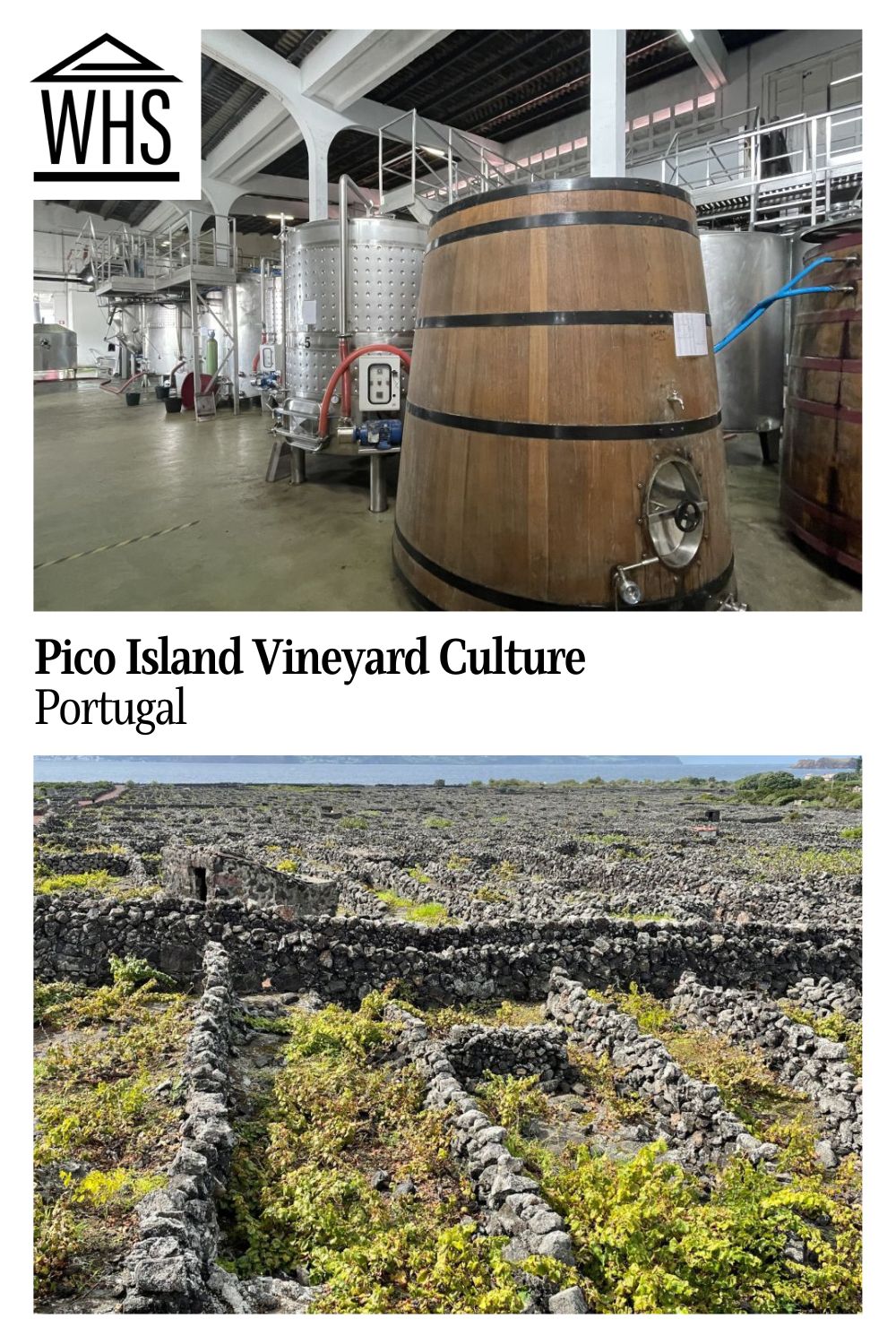 Pico Island Vineyard Culture