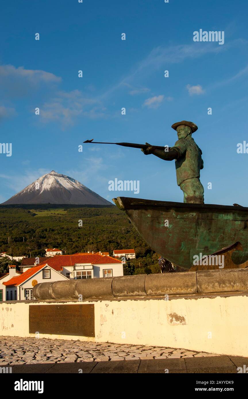 Pico Island Whale Museum