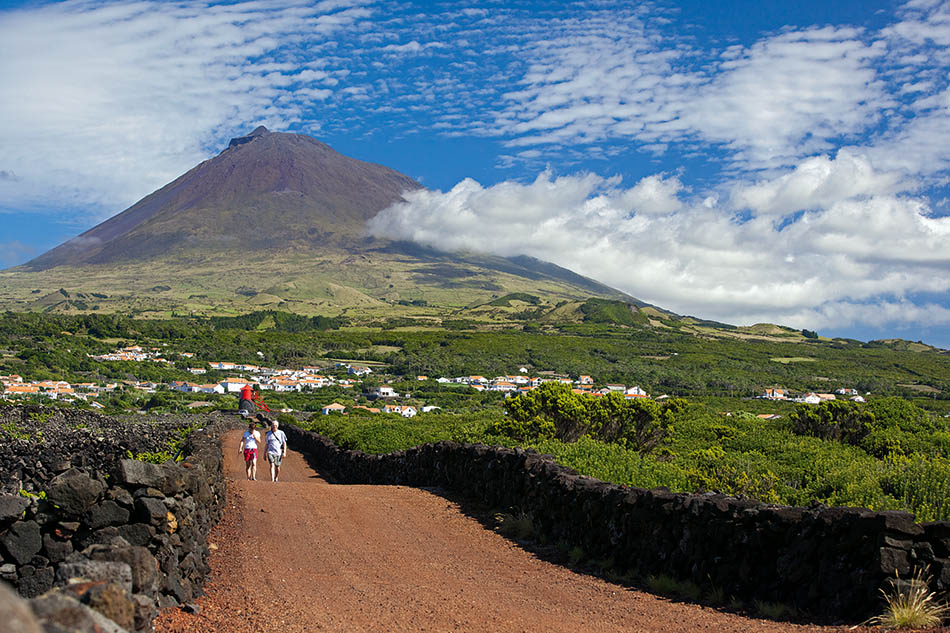 Pico Museum