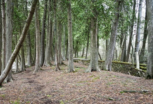 Pinckney State Recreation Area