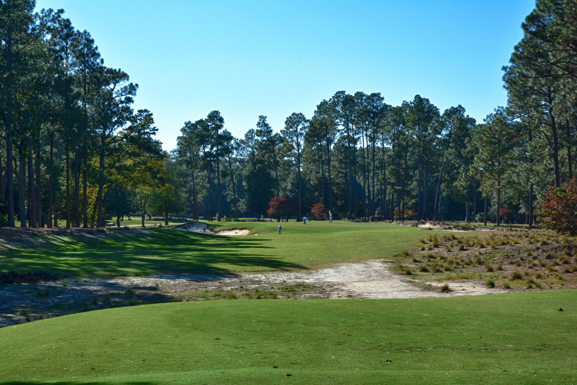 Pinehurst No. 2